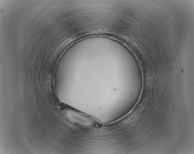 X0000072511265200608041457