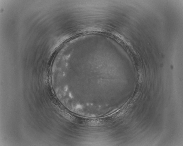 X0000072511266200608041457