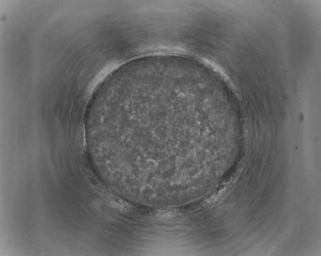 X0000072511267200608041457