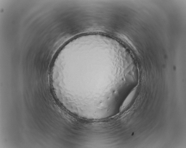 X0000072511268200608041457