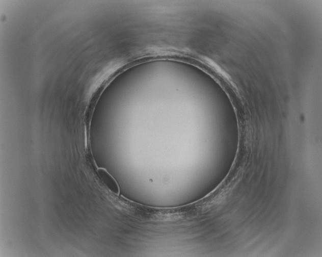 X0000072511269200608041457