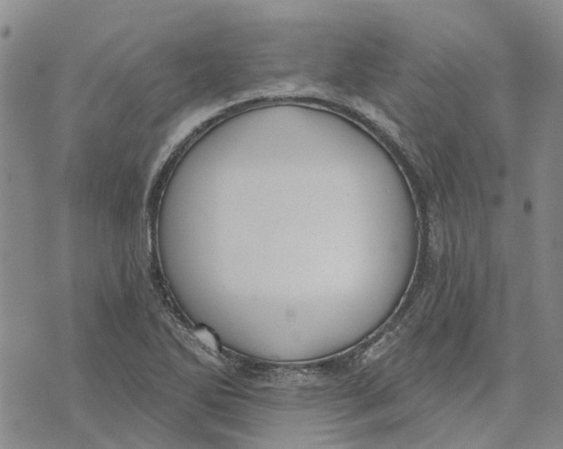 X0000072511270200608041457