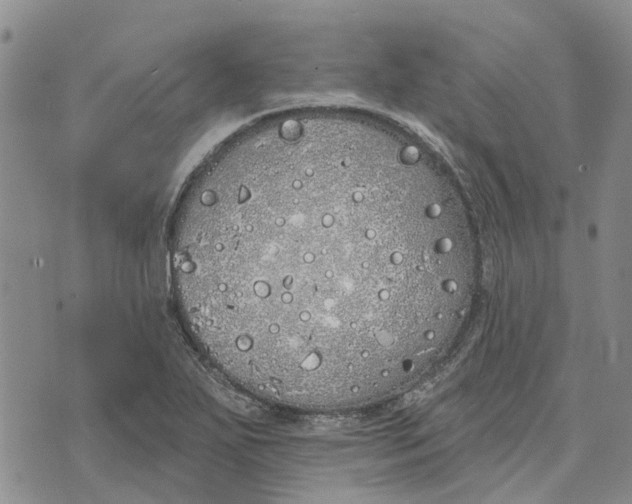 X0000072511271200608041457