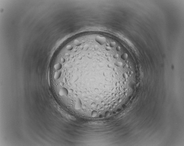 X0000072511272200608041457