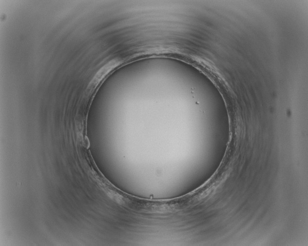 X0000072511273200608041457