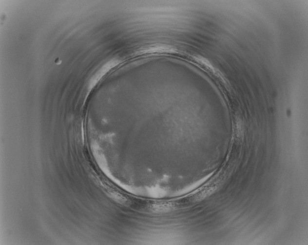 X0000072511274200608041457