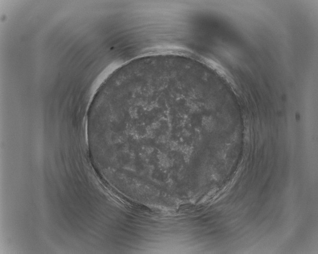 X0000072511275200608041457