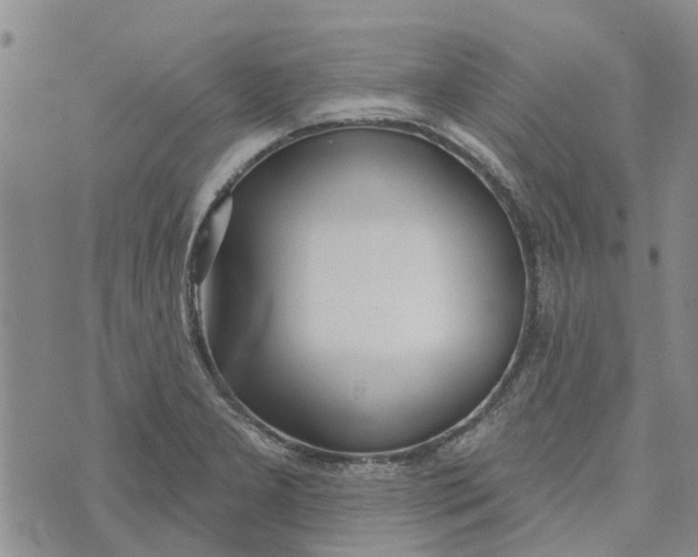 X0000072511277200608041457