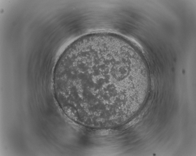 X0000072511279200608041457