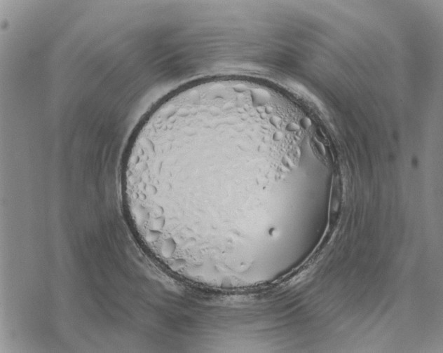 X0000072511280200608041457