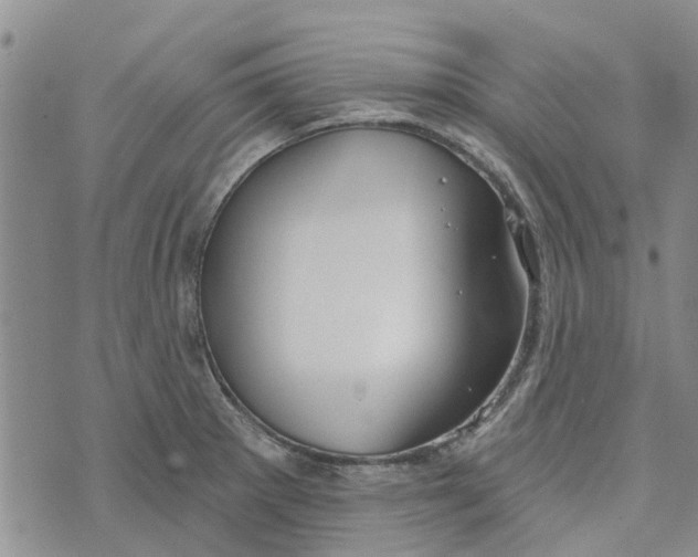 X0000072511281200608041457