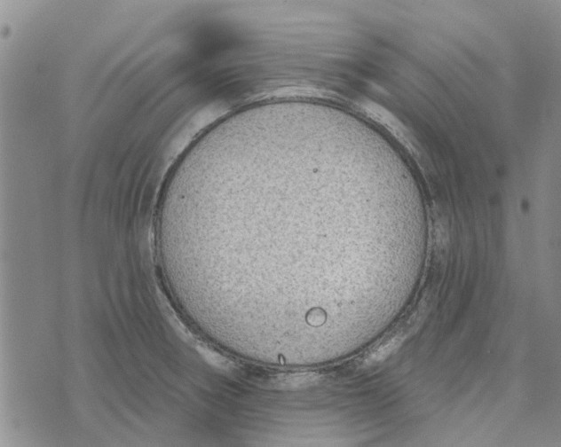 X0000072511282200608041457