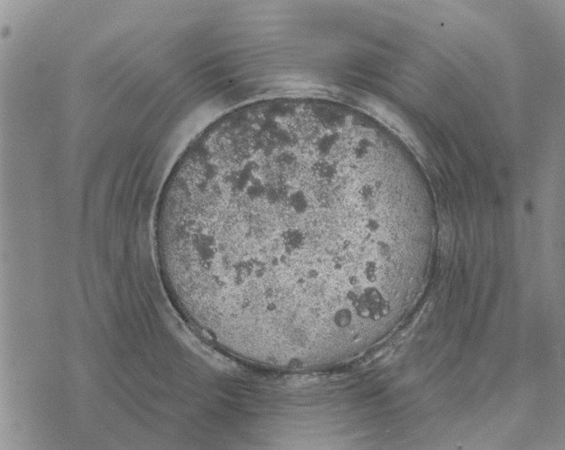 X0000072511283200608041457