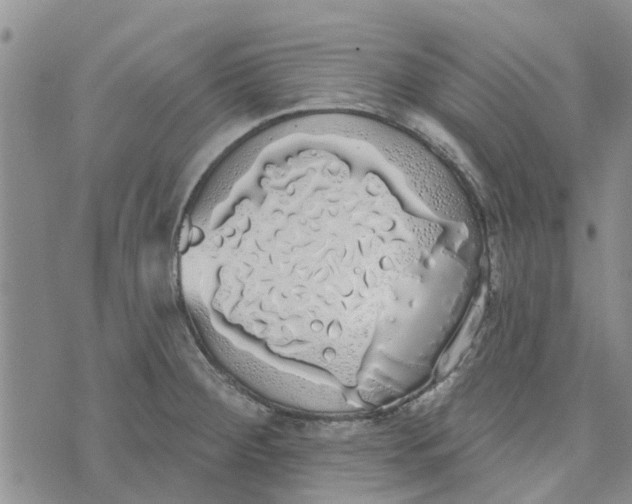 X0000072511284200608041457