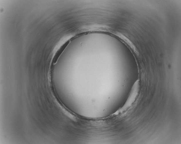 X0000072511285200608041457