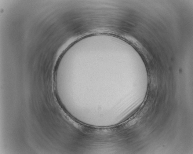 X0000072511286200608041457