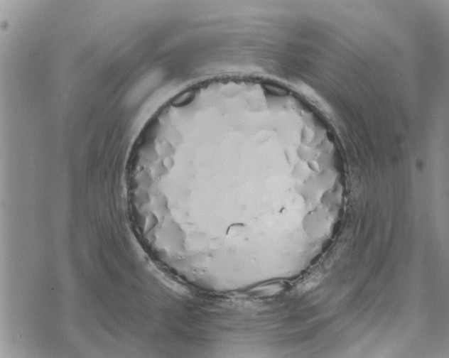 X0000072511287200608041457