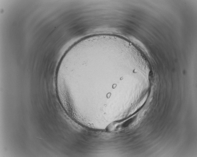 X0000072511288200608041457