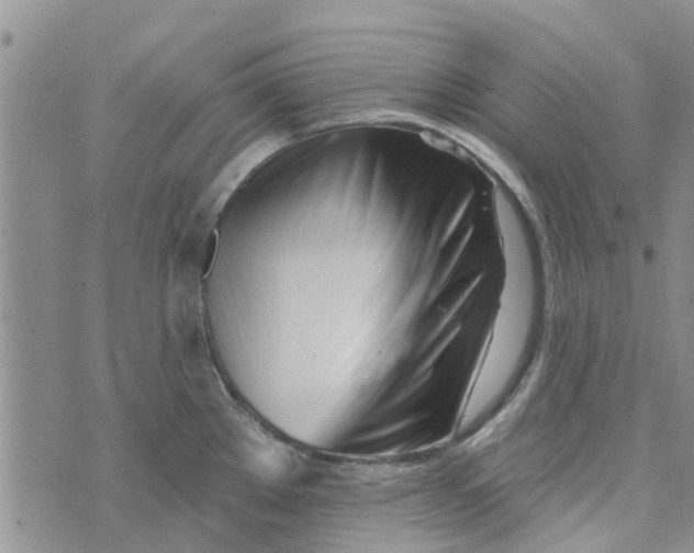 X0000072511289200608041457