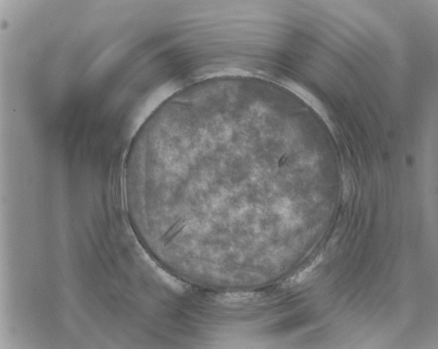 X0000072511290200608041457