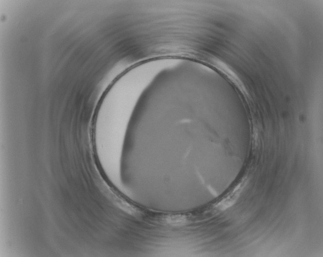 X0000072511291200608041457