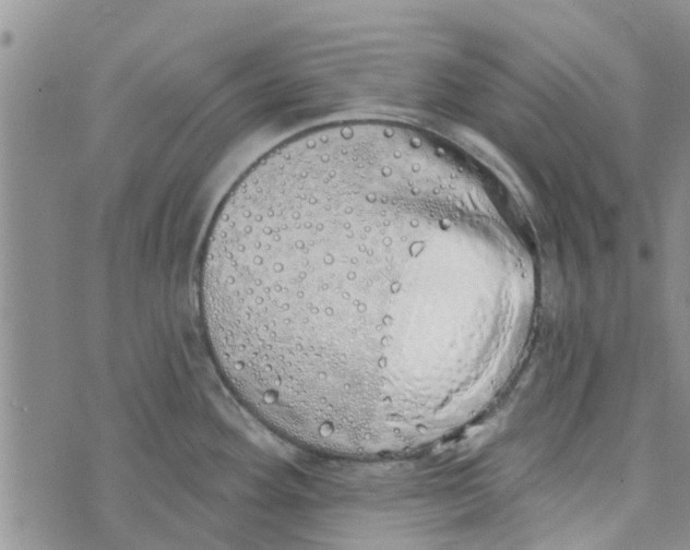 X0000072511292200608041457