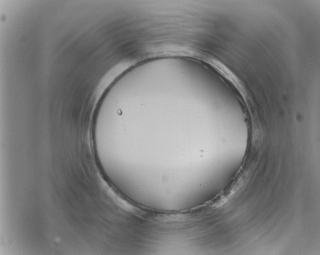 X0000072511293200608041457