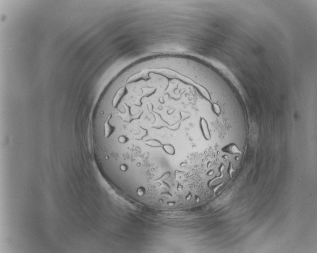 X0000072511295200608041457