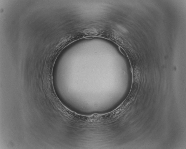 X0000072511297200608041456