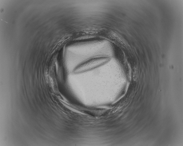 X0000072511298200608041456