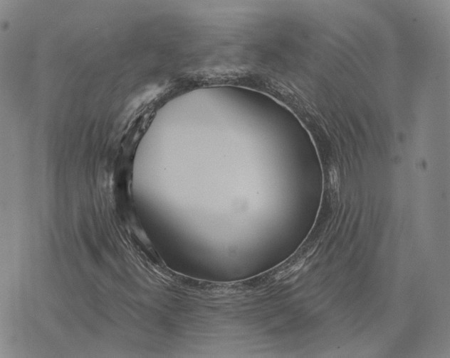 X0000072511300200608041456