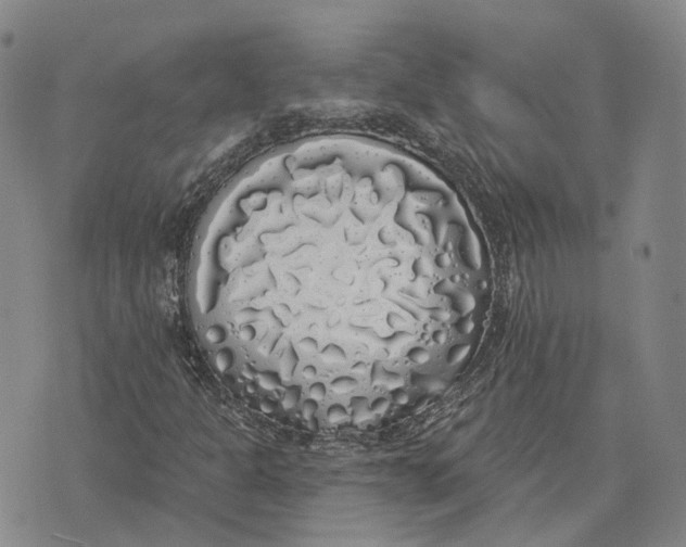 X0000072511301200608041456