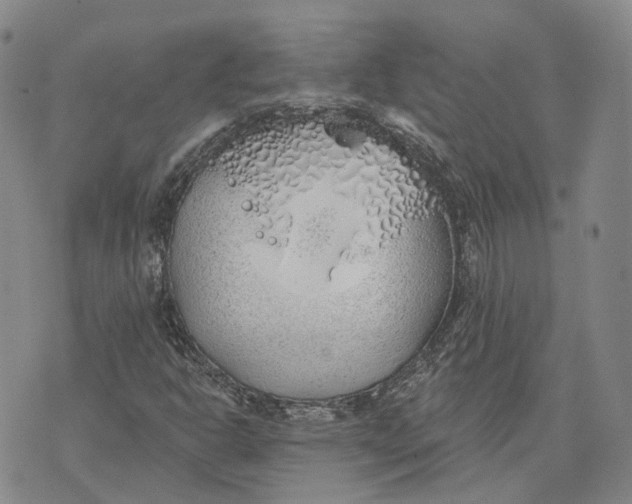 X0000072511302200608041456