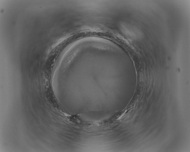 X0000072511303200608041456