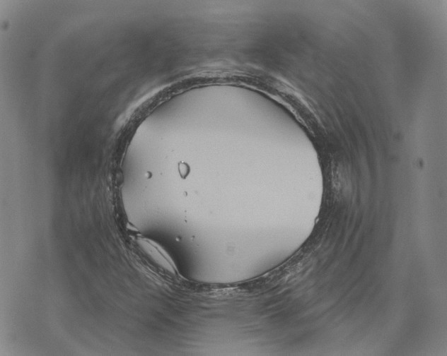 X0000072511304200608041456