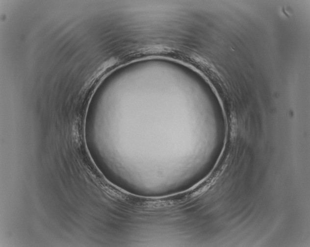 X0000072511305200608041456