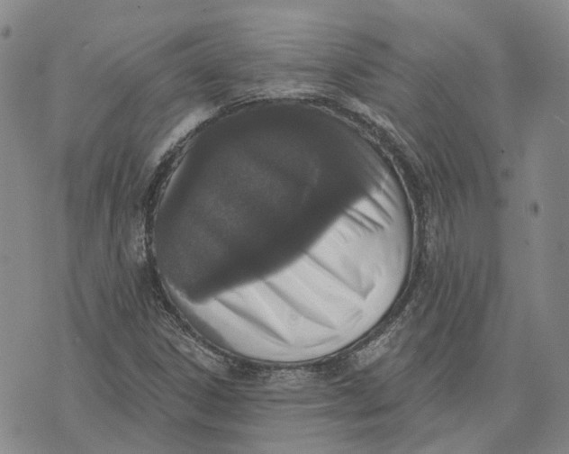 X0000072511306200608041456