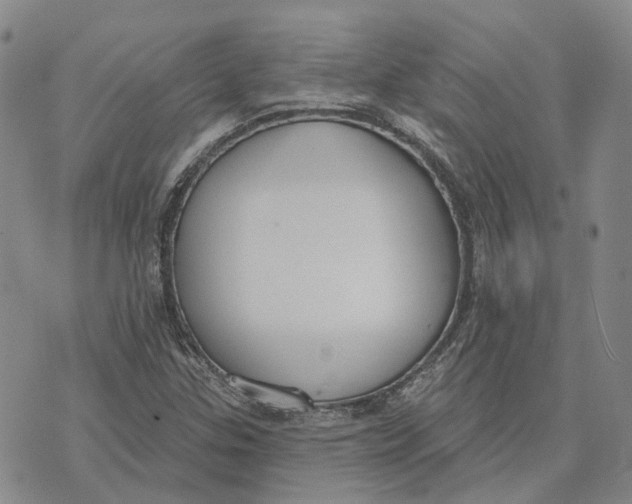 X0000072511307200608041456