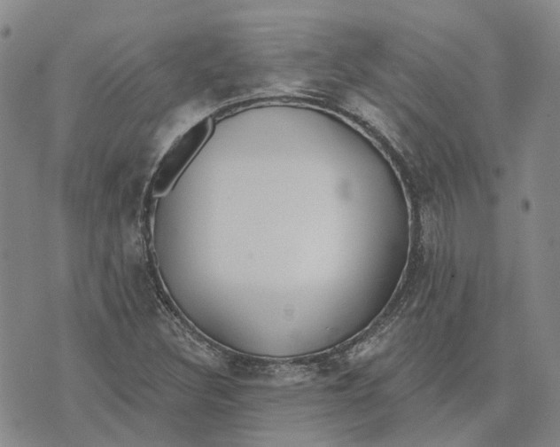 X0000072511308200608041456