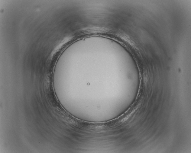 X0000072511309200608041456