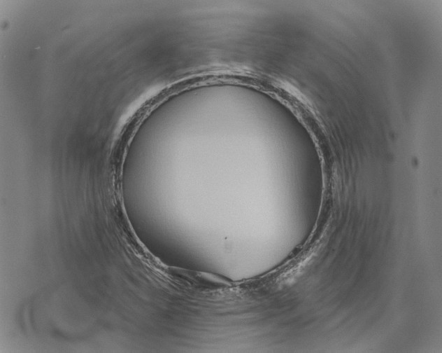 X0000072511310200608041456