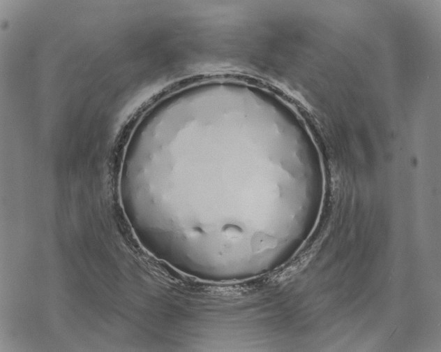 X0000072511311200608041456