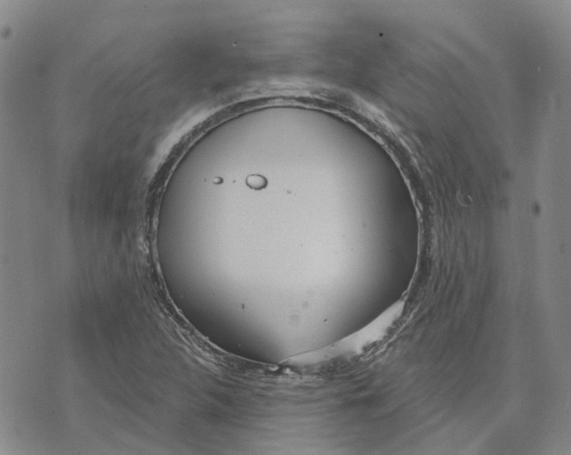 X0000072511312200608041456