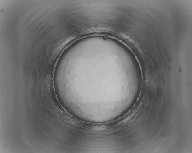 X0000072511313200608041456