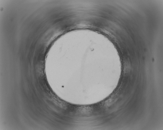 X0000072511314200608041456