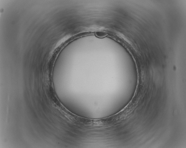 X0000072511315200608041456