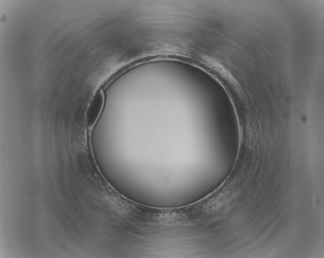 X0000072511316200608041456