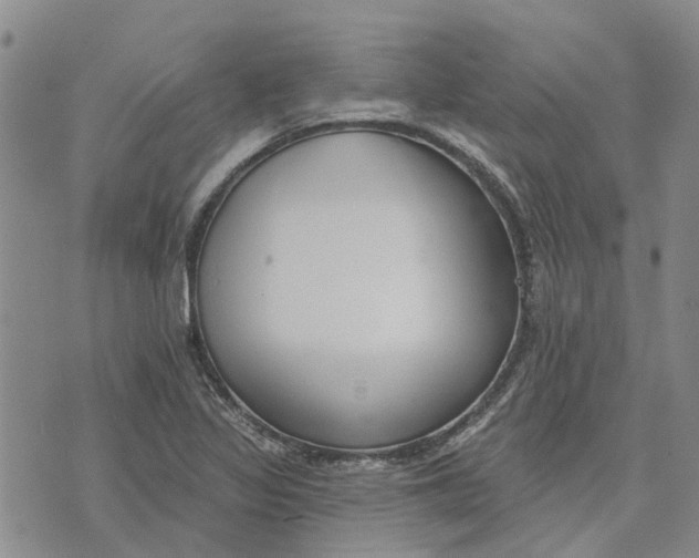 X0000072511317200608041456