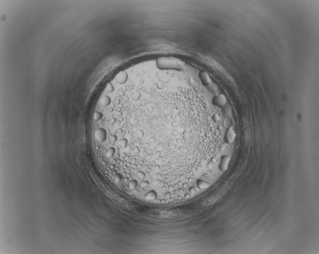 X0000072511318200608041456