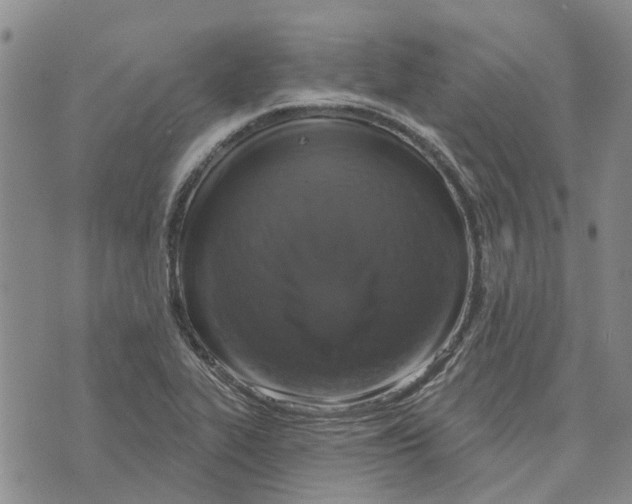 X0000072511319200608041456